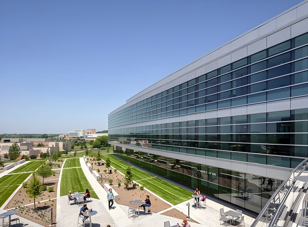 فيديو منزلي